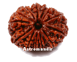 thirteen face rudraksha, thirteen mukhi rudraksha, thirteen mukhi rudraksh